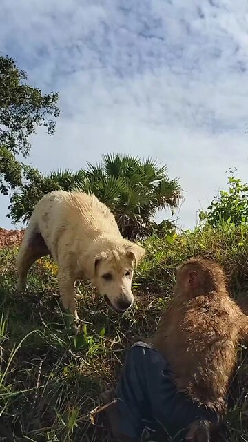 Well Best SokYaa, OG, Pao & Mom Are Famous Around The World #shorts #anime #trend #edit