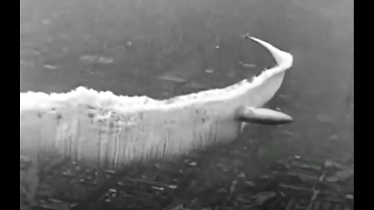What Happened to Old World Airships? – Video #233