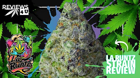 LA RUNTZ (STRAIN REVIEW) | REVIEWS 4 U