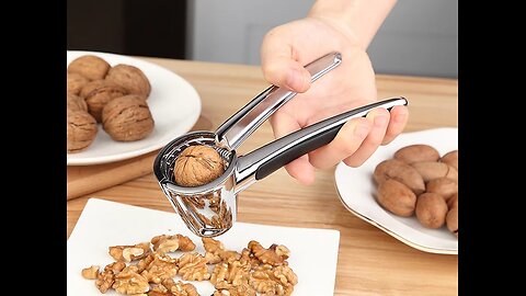 Melon Seed Plier_ Walnut Cracker, For Melon Seed, Lobster, Walnut & More