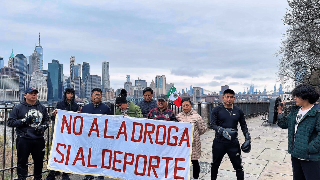 Clase de box desde New York
