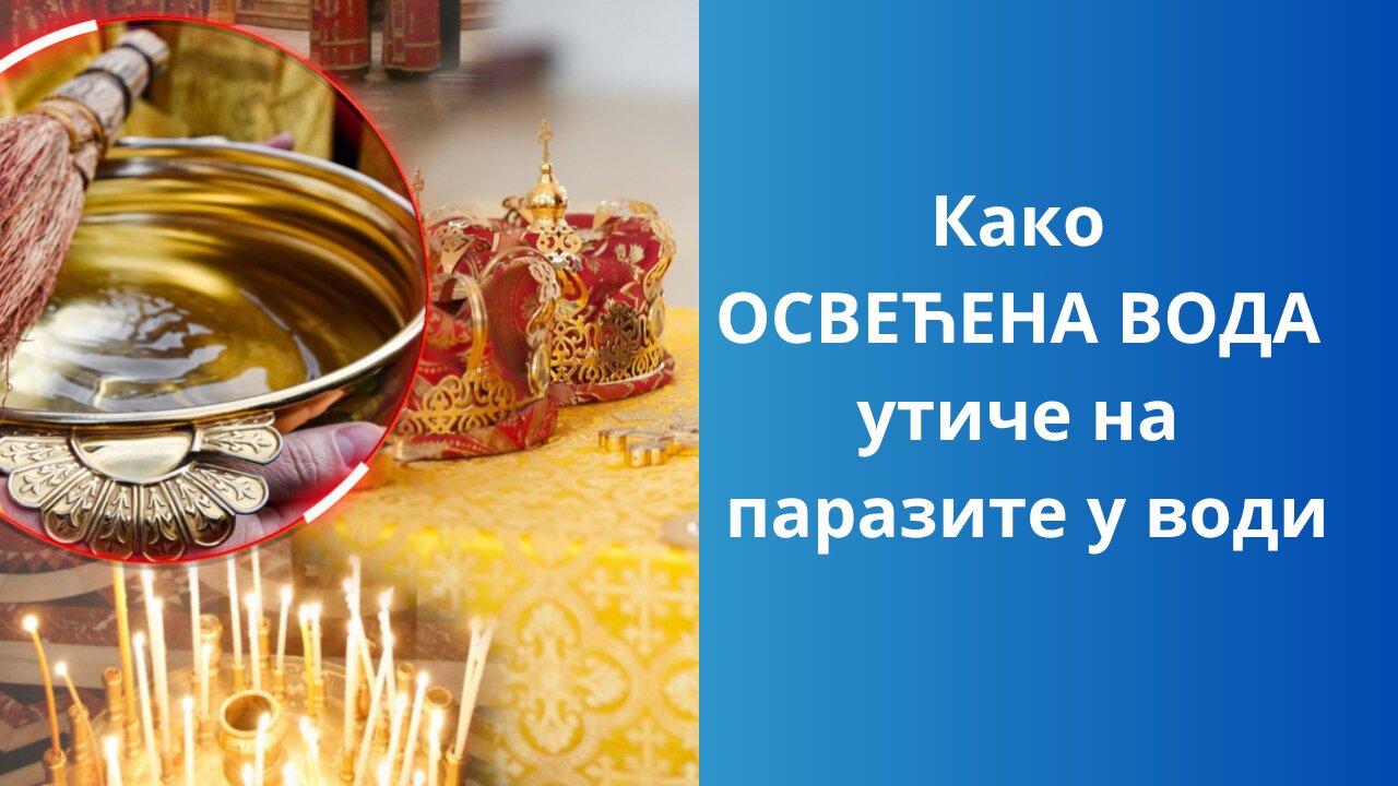 Како ОСВЕЋЕНА ВОДА утиче на паразите у води!