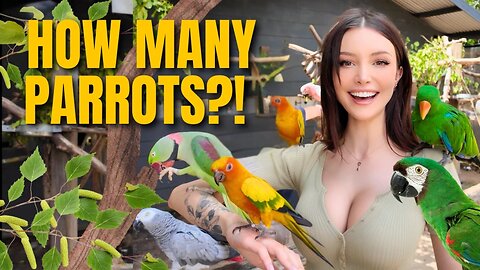 Inside a Parrot Lover's Dream Day!