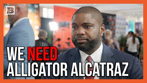 We NEED Alligator Alcatraz!