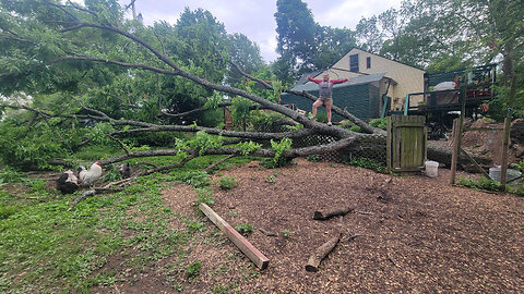 Massive Tree Down At God's Little Acre! 😲