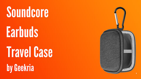 Soundcore Earbuds Case | Geekria