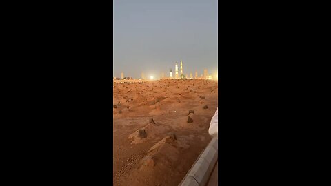 viral naat