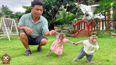 YiYi and YinYin obediently earn money to invite grandpa to go to the coffee shop