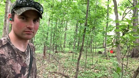 Shooting cap and ball in the woods