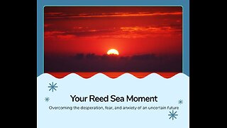 Your Reed Sea Moment