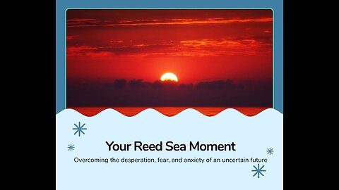 Your Reed Sea Moment