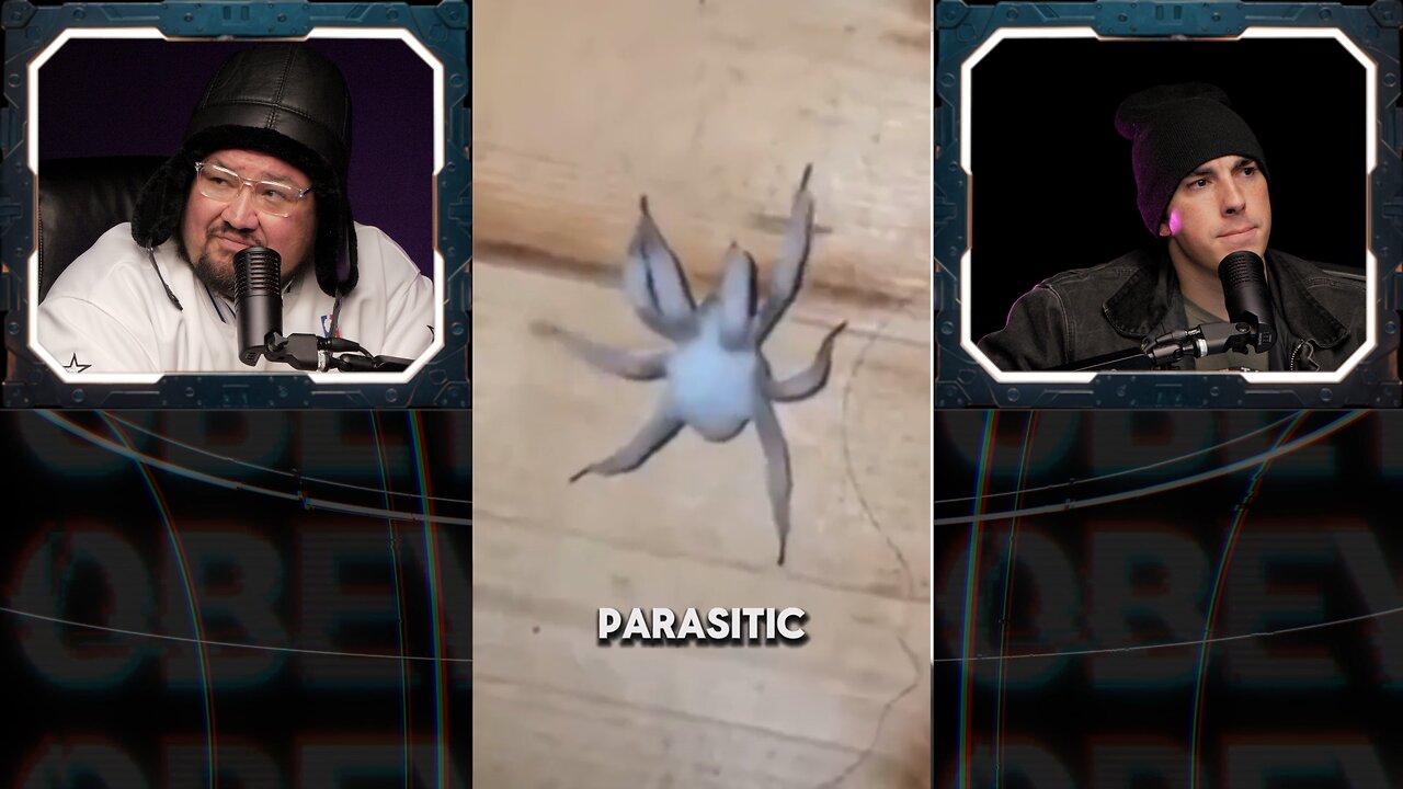 🚨REAl ZOMBIE SPIDERS - Last of US is happening - Cordyceps BODYOID🚨