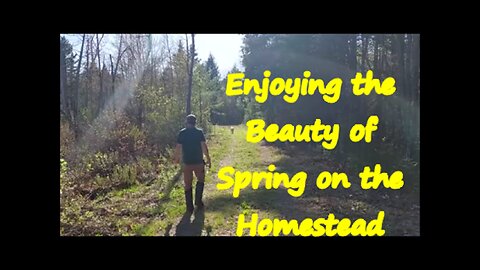~~Taking a Moment to Discover the Spring Beauty on the Homestead~~