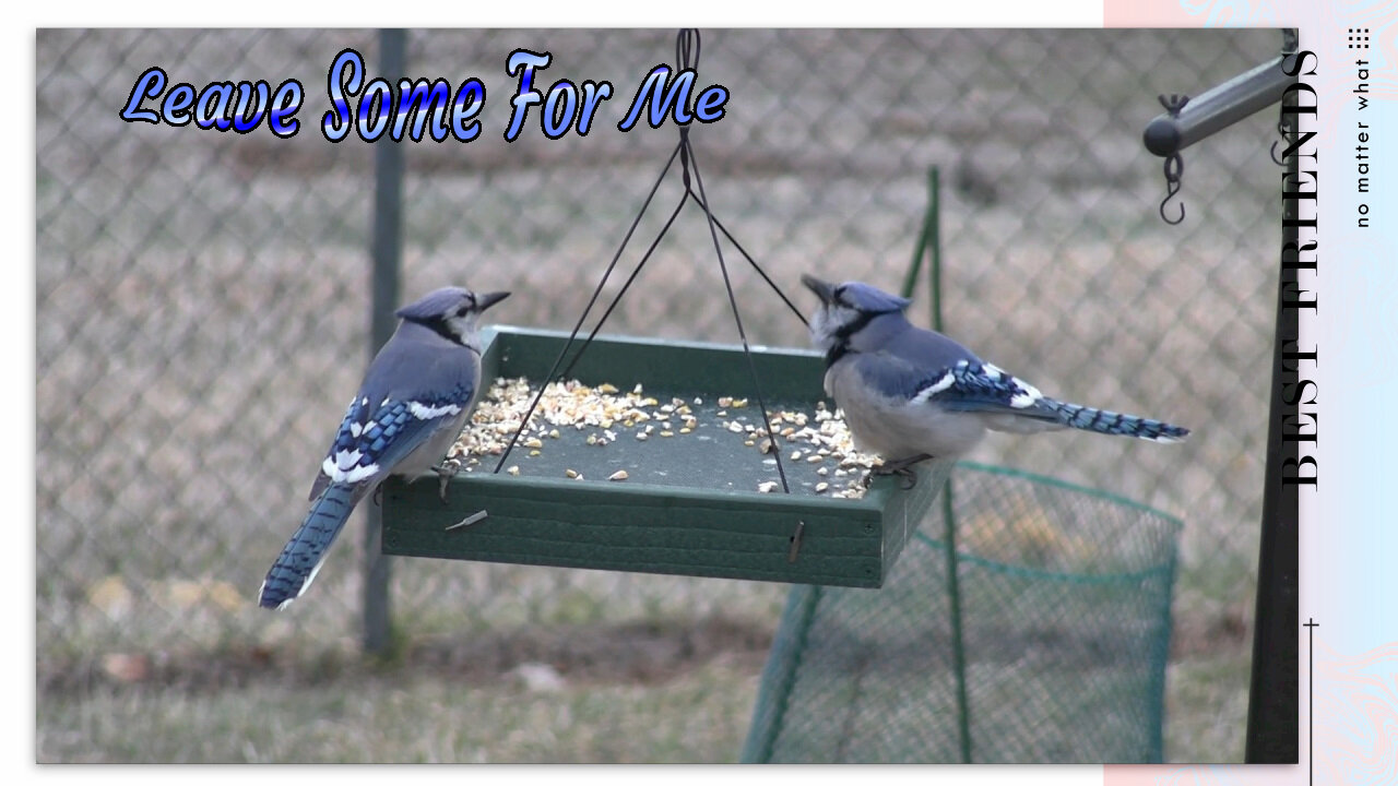 Leave some for me!