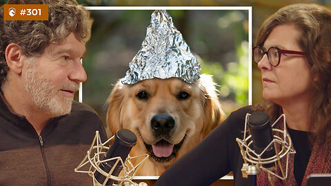 Mocking Pet Owners Instead of Covering the Ostrich Killings? | DarkHorse 301