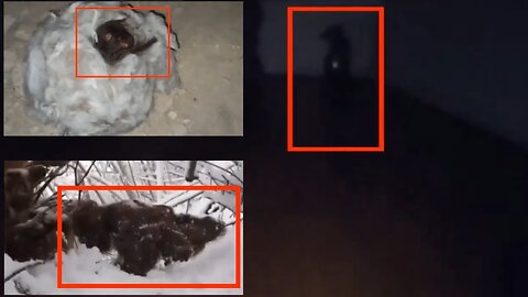 TOP 5 Mystical Creatures caught on camera | Paranormal Scary things