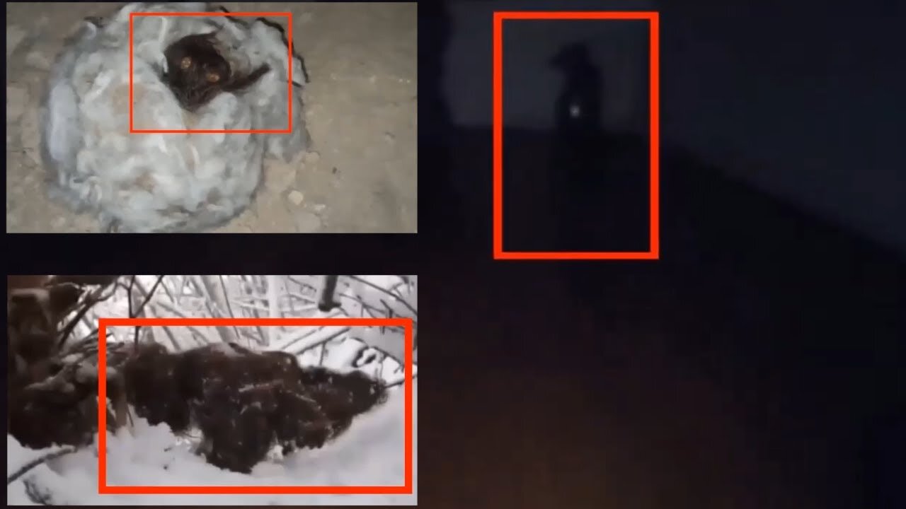 TOP 5 Mystical Creatures caught on camera | Paranormal Scary things
