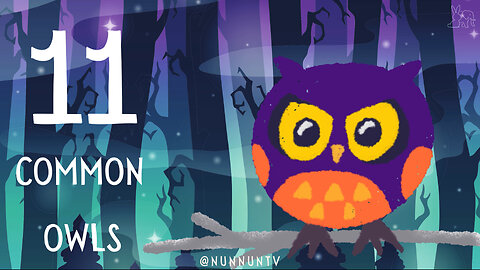 11 Common Owls Kids Should Know!