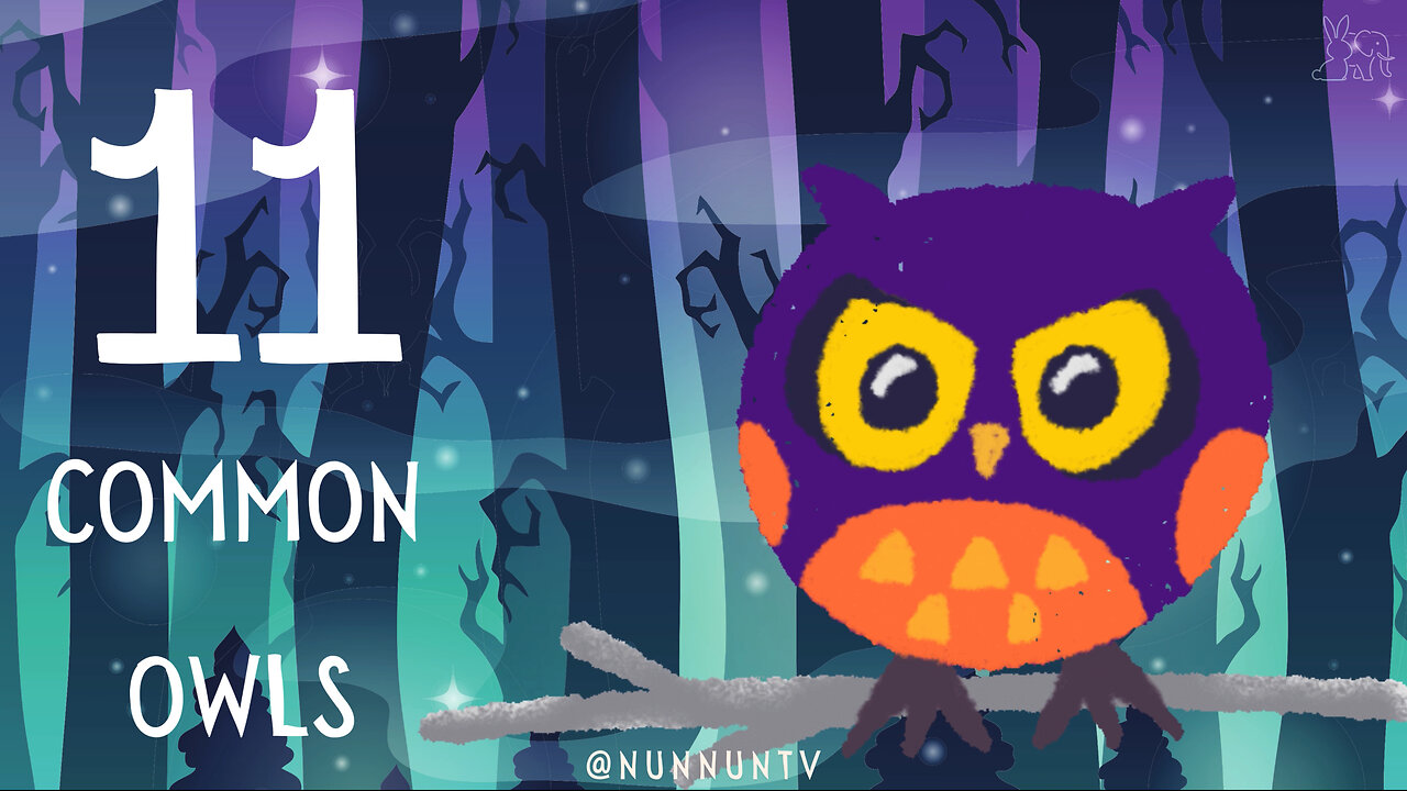 11 Common Owls Kids Should Know!