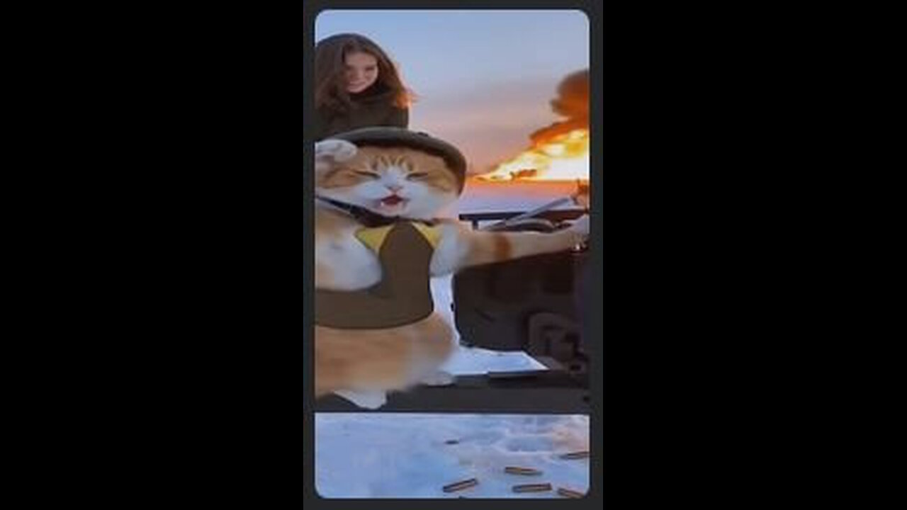 Mr Pibbles 🎯 Aim is Everything