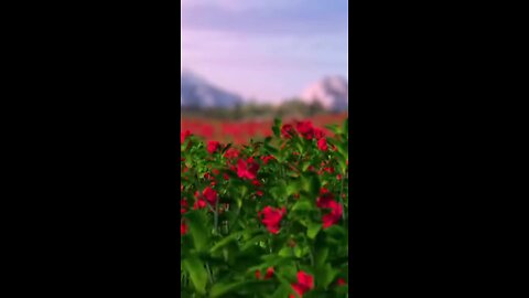 @Jay_mahakal__🙏🙏