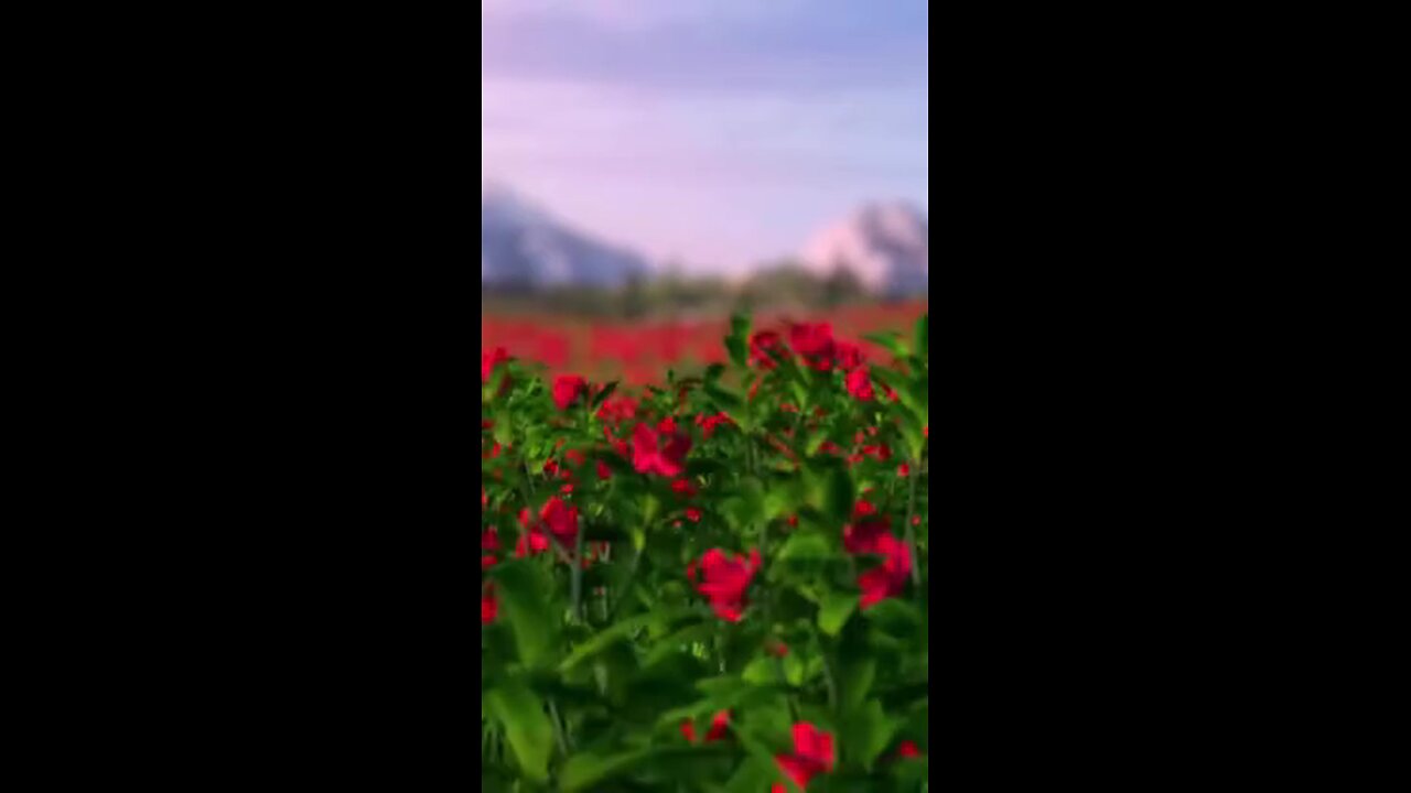 @Jay_mahakal__🙏🙏