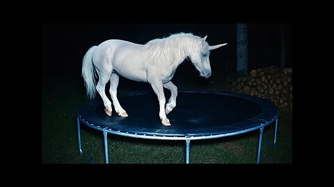 CCTV Camera : Caught Unicorn and Other Animals Jumping On The Trampoline At 3Am.