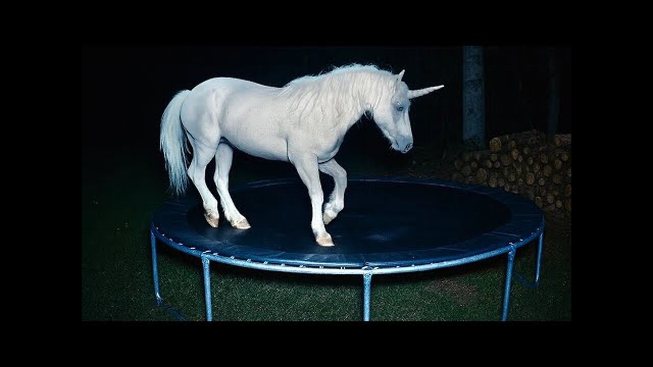 CCTV Camera : Caught Unicorn and Other Animals Jumping On The Trampoline At 3Am.