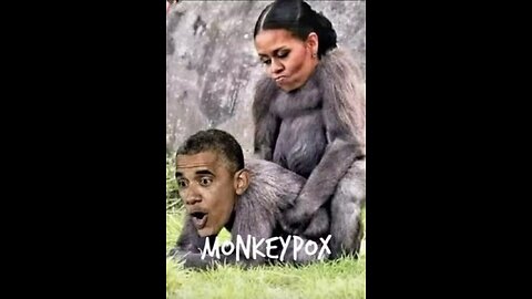 More Fun Than A Barrel Full Of Flunkies