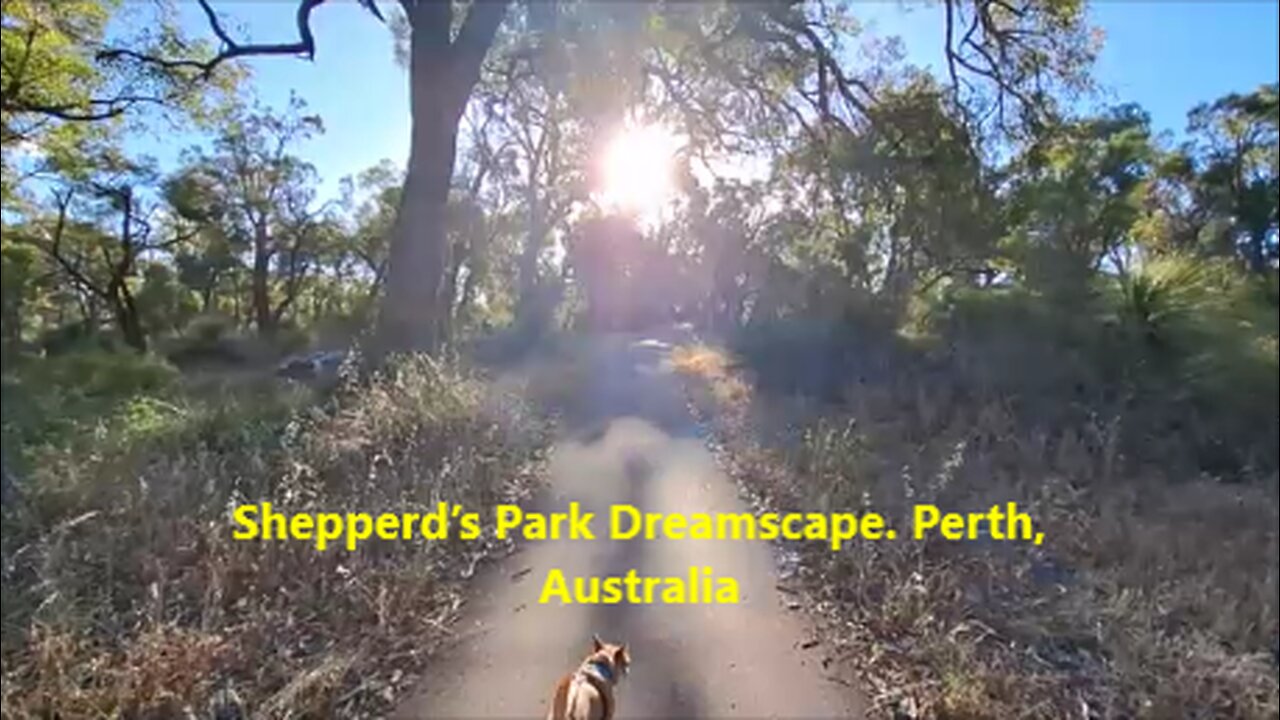 Shepperd’s Park Dreamscape. Perth, Australia