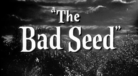 The Bad Seed 1956