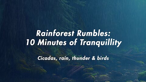 Rainforest Rumbles: 10 Minutes of Tranquillity