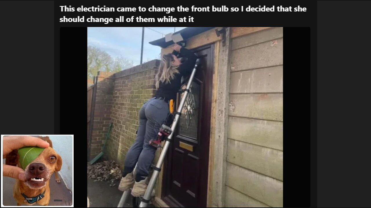 Memes That Will 99.0149% Make You Laugh. (e373)