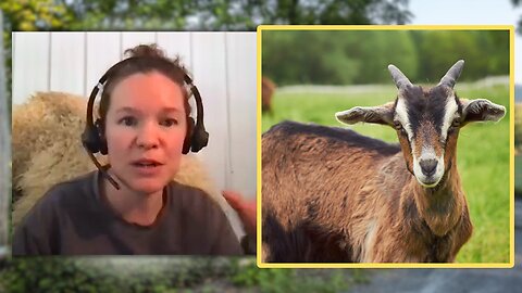 Debunking Goat STEREOTYPES - Morgan Michaluk