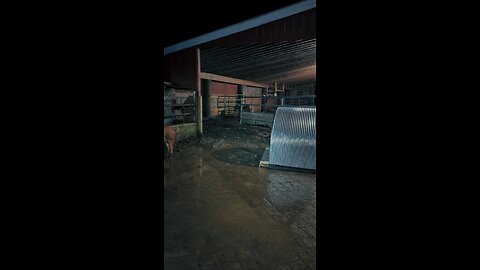 Farming ugly!