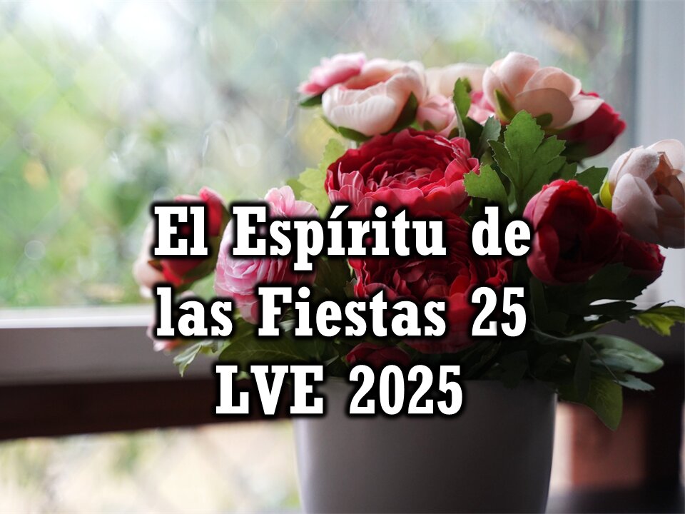 El Espíritu de las Fiestas 25