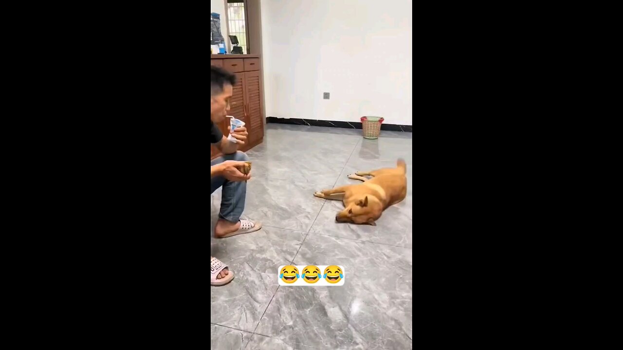 चल इसको फेक कर आ