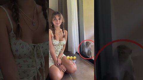 Funny Animals #funnyanimals #animals #pets #shorts