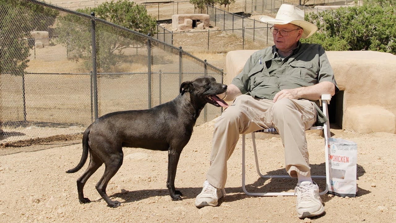 Brother and sister dumped in the deep desert as puppies, but they got lucky.