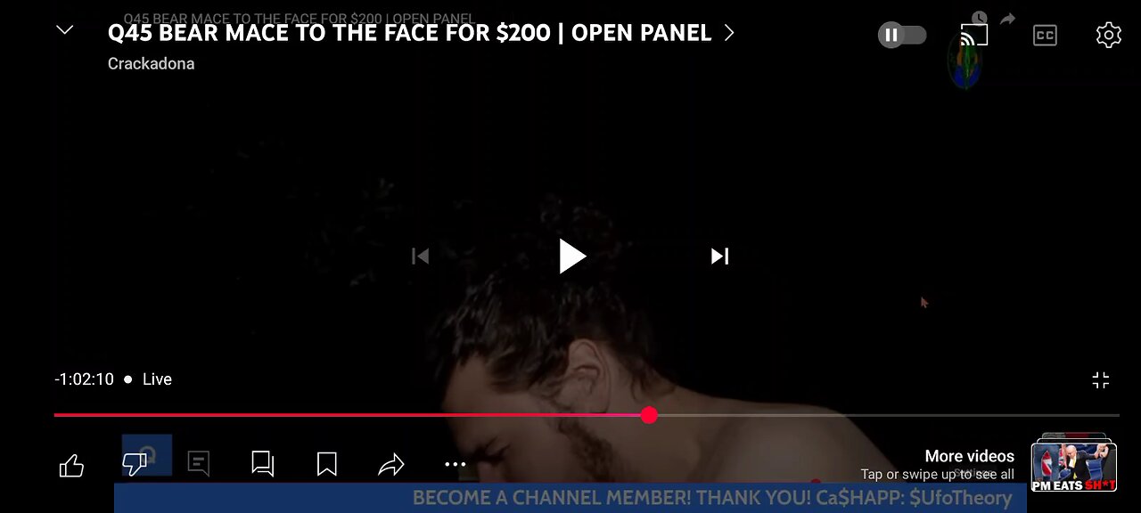 q bear mace to the face 🤣🤣🤣