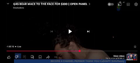 q bear mace to the face 🤣🤣🤣