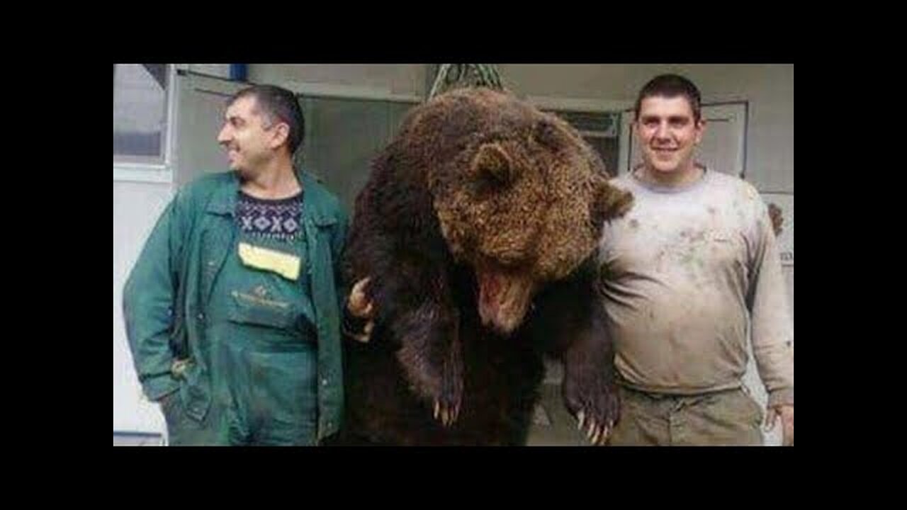 ЛЮБИТЕЛЯМ ЧУЖИХ МУЧЕНИЙ...