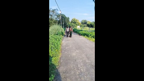 #video indian comedy video 🤩 funny video 🥰#rumbleshorts #funny #shorts #indiancomedy #rumble