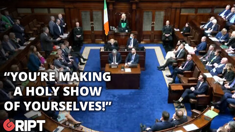 Dáil descends into chaos over speaking time dispute