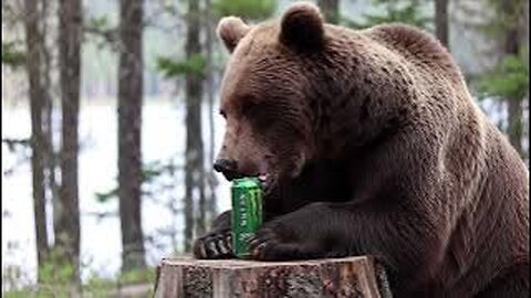 Grizzly Energy