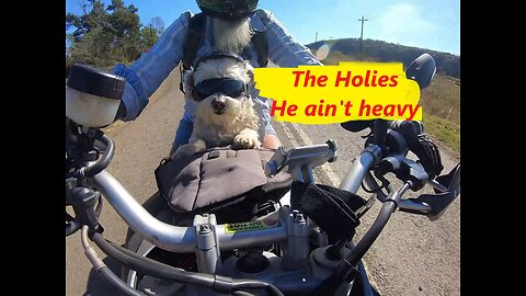 The Holies - He ain't heavy he is my brother @jontyknine ​