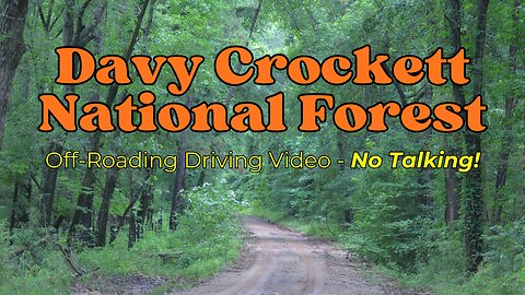 Off-Road Drive Through Davy Crockett National Forest | Relaxing Forest Trail Ride (5 Minutes)