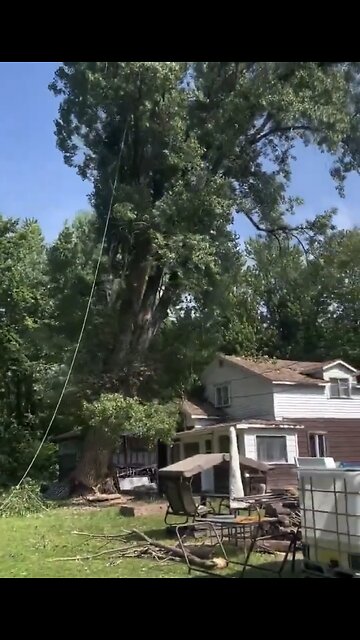 CUTTING A HUGE TREE🏡🌳🪓👨‍🔧📸CAN BE COSTLY🌳🪚👷‍♂️🏡💫