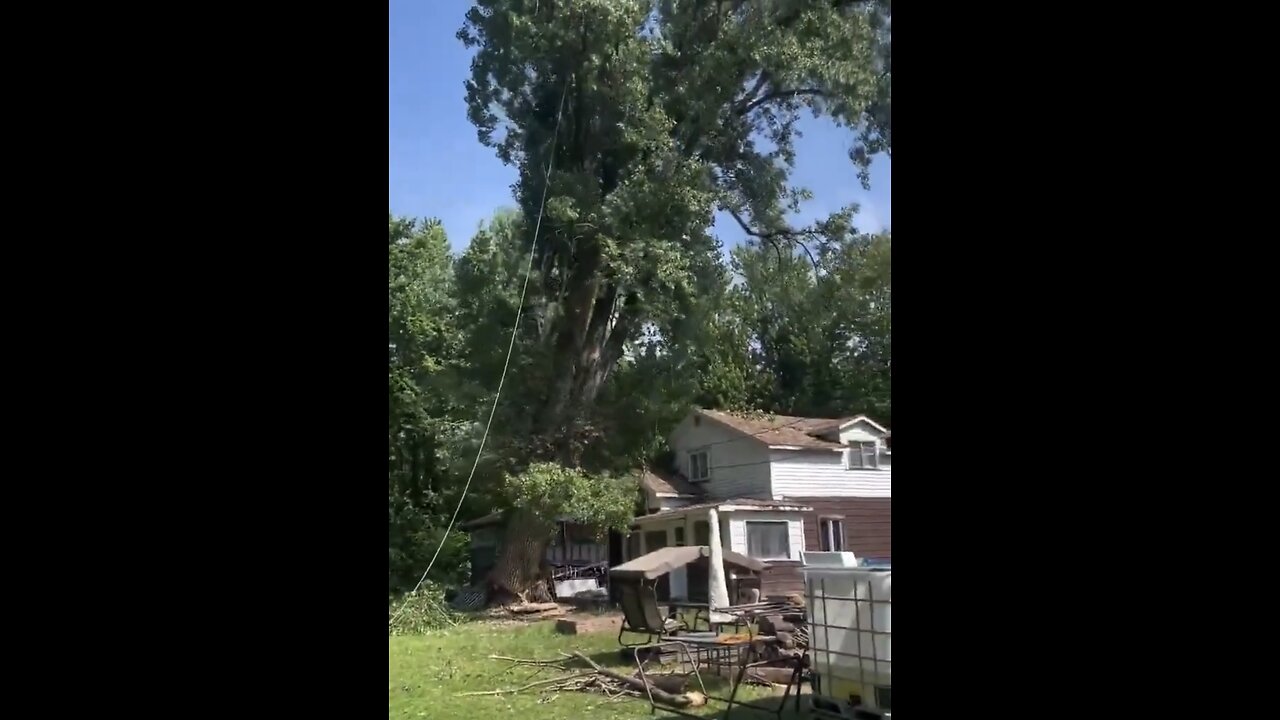CUTTING A HUGE TREE🏡🌳🪓👨‍🔧📸CAN BE COSTLY🌳🪚👷‍♂️🏡💫