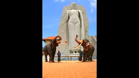 Pride of sri lanka ❤️